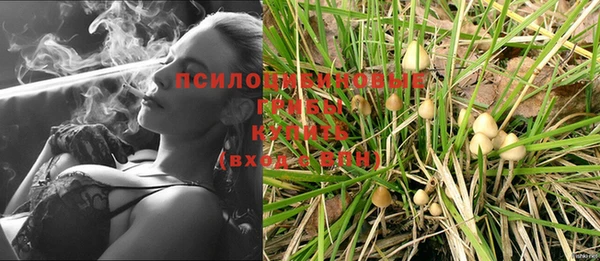гашик Арсеньев
