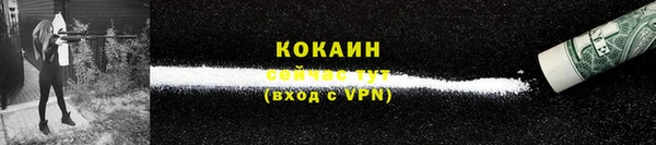 гашик Арсеньев