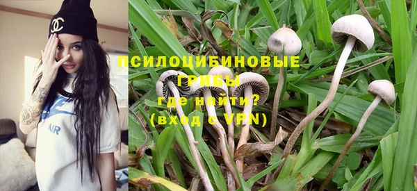 прущие крисы Аркадак