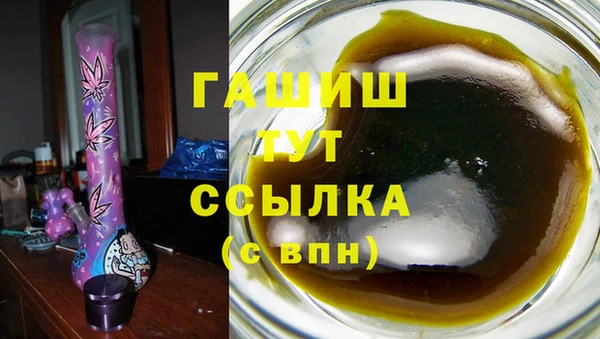 гашик Арсеньев