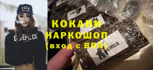 гашик Арсеньев