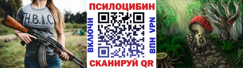 Купить где  Саяногорск  Псилоцибиновые грибы мицелий 