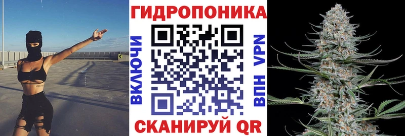Купить закладки  Саяногорск  Бошки марихуана тримм 